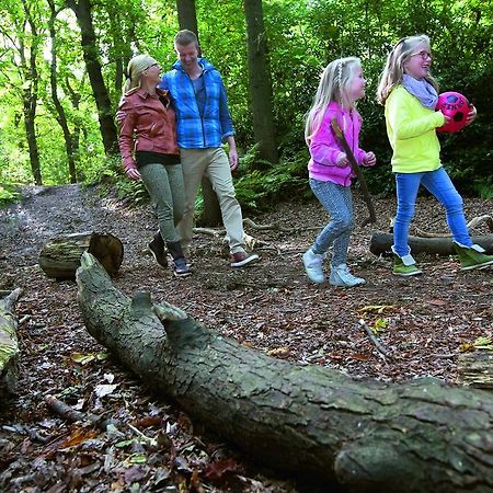 מלון Rouveen Natuurpark De Witte Bergen מראה חיצוני תמונה