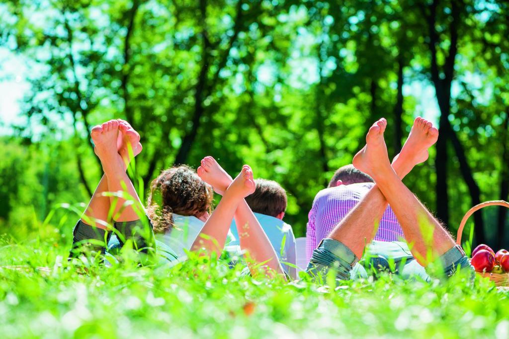מלון Rouveen Natuurpark De Witte Bergen חדר תמונה