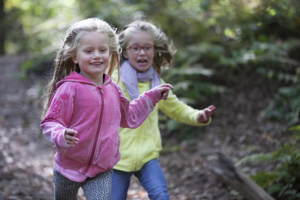 מלון Rouveen Natuurpark De Witte Bergen חדר תמונה