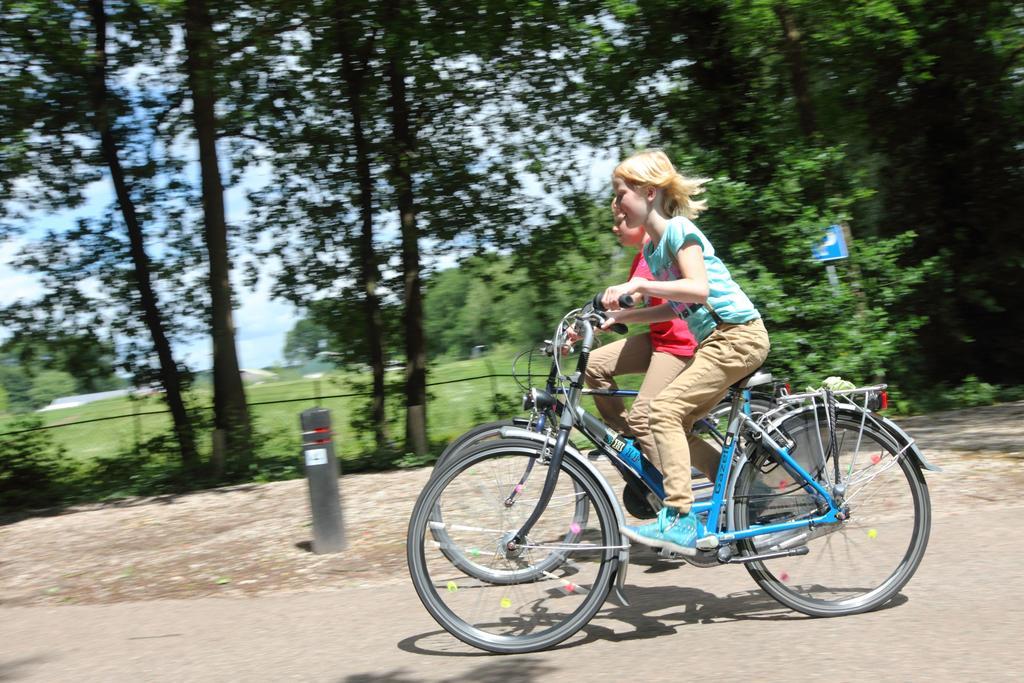 מלון Rouveen Natuurpark De Witte Bergen חדר תמונה
