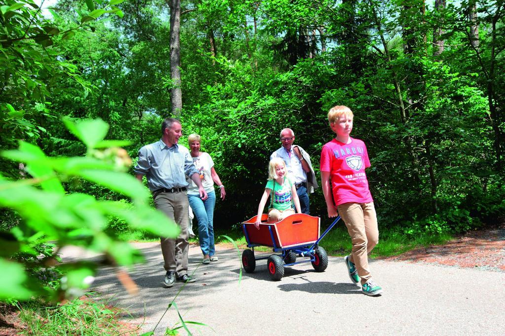 מלון Rouveen Natuurpark De Witte Bergen חדר תמונה